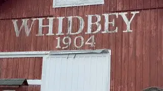 Touring Whidbey Island with Mukilteo Ferry, Langley, and Coupeville