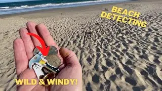 Wild and Windy Beach Detecting with the Minelab Equinox 800