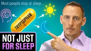 Недостающие звенья между питанием, солнечным светом и хорошим сном!