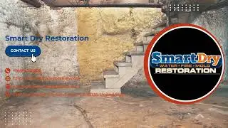 La Jolla Basement Water Removal Services