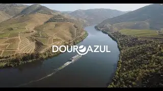 Douro Azul - Your window to the heart of the Douro