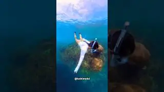 Outter space 🪸🫶🏽 #reef #diving #modellife #360 #360video
