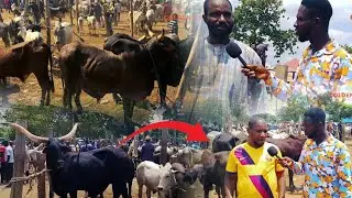 Cattle Sellers in Ejura Reveal the Biggest Problems They Face