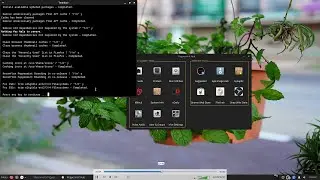 PeppermintOS Debian Based XFCE Desktop with MSDOS Partitions+Swap with Hibernate+No Encryption+F2FS