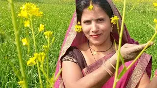 आप सभी का स्वागत है मेरे लाइफ में