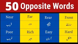 50 Opposite Words with Urdu Meanings | English Vocabulary in Urdu / Hindi