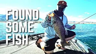 We Found Some Fish! - 2022 WON Bass US Open Lake Mohave Practice Day 3