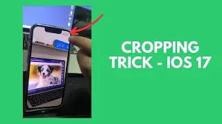 How To Easily Crop Photos In iOS 17