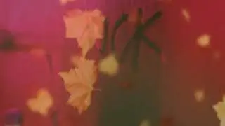 808Donnie - Leaving Falling Pt 2