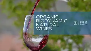 Honest Grapes | Organic wines and Sustainability 🌿
