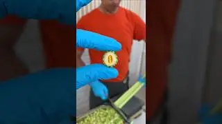 ASMR Candy Creations to Melt Stress