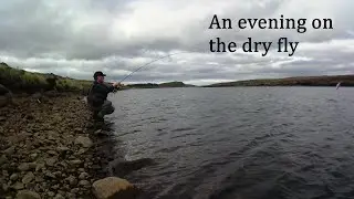 Hectic half hour dry fly fishing for rainbow trout!  #flyfishing #dryflyfishing