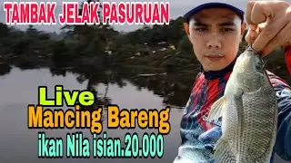 Info mancing Buka'an di tambak,dan info mancing bolangan di tambak