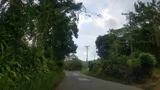 Golden Grove | Jamaica