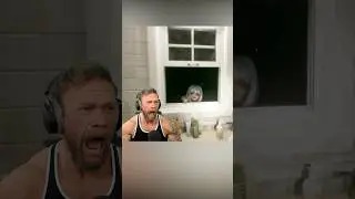 Highly Requested Window Jumpscare&hellip; #jumpscare #indiehorror #horrorgaming #pcgaming #gaming