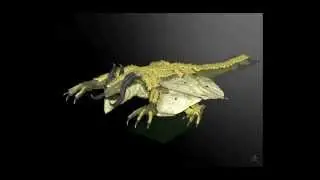 Armadillo Dragon scultp Turntable