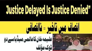 Justice Delayed Is Justice Denied | Aleema Khan Speaks to International Media on Rule of Law !