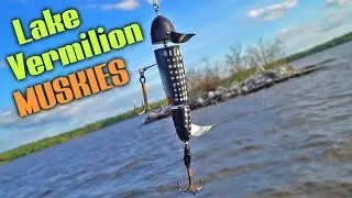 Lake Vermilion MUSKIES - Giants Found!! Day 1