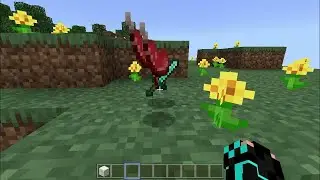 If I pick up an item, this video ends    Minecraft