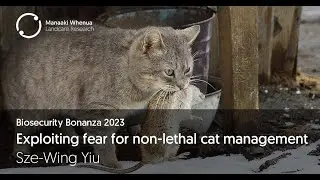 Exploiting fear for non-lethal cat management