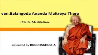 Ven Balangoda Ananda Meitriya Thero Meditation on compassion