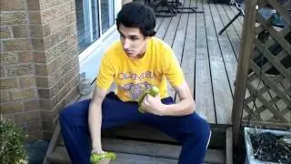 Stages Of Motor Learning