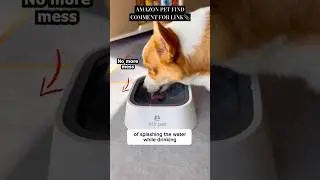 Best dog care product 2025 #petcareproducts #petcareessentials #dog #doghealth #dogcaretips #shorts