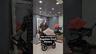 Bugaboo Fox 5 Renew - чем отличается от Fox5?