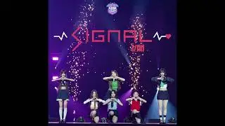 IZNA - SIGNAL (원곡 : TWICE) | 2025 KCON JAPAN (AUDIO)