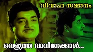 Veluthavaavinekaal... | Vivahasammanam | Malayalam Old Classic Movie Song