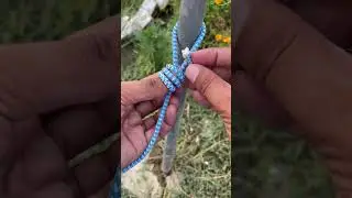 Genius Knot / Simple Loop Knot #shorts