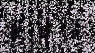 Amanda Beech: Single screen 5 MIN Sanity Assassin 2010