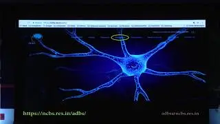 Mental disorders - a Global Challenge, Raghu Padinjat at ICCB 2018