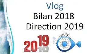 Bilan 2018 - Mr Recif Captif #254