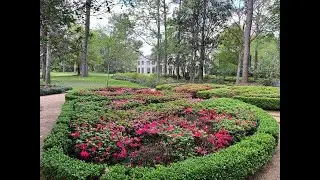 Bayou Bend Collections & Gardens (Ima Hogg's former residence) garden walkthrough.