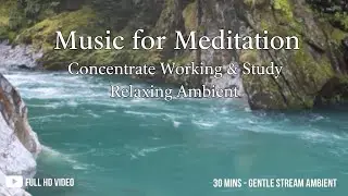 30 mins Music for Meditation, Concentrate Working & Study, Relaxing Gentle River Ambient Video