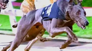 **