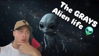 Who Are the Tall Greys? | Alien Species Introduction 👽