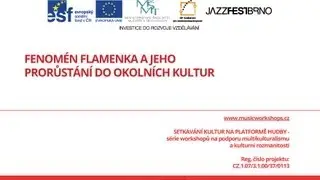 Musicworkshops -  Fenom&eacute;n flamenka a jeho prorůst&aacute;n&iacute; do okoln&iacute;ch kultur