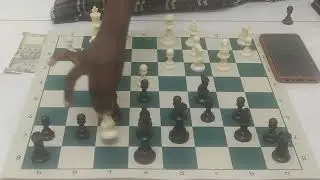 10+5 Rapid Game 4