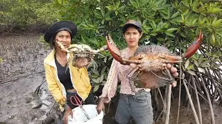 Brave Women Catching Huge Mud Crabs at The Sea Swamp after Water Low Tide