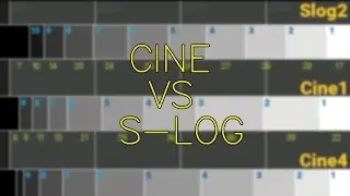 A7sii Setup Menu Picture Profile Cine 4 & Slog2 for Dynamic Range DJ Cutt