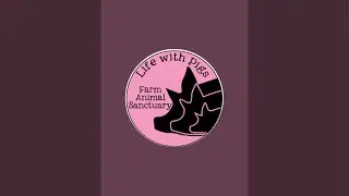 Life With Pigs Farm Animal Sanctuary is live!
