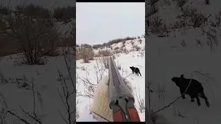 ❄️ &ldquo;Winter Rabbit Hunting Adventure 2025&rdquo;#rabbit hunting with dogs#rabbit hunting tips#winterhunting