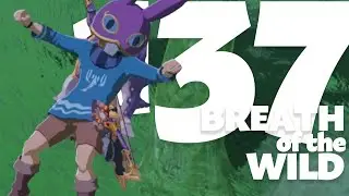 100% пройдено (Breath of the Wild 137)