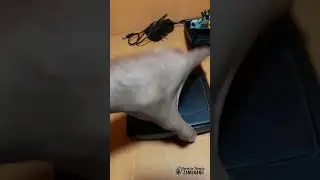 Reparando modem cantv venezuela #shorts