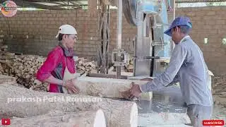Amazing Sawmill Neemwood cutting working - Sawmill wood cutting in Indian machines@villageboypro9885