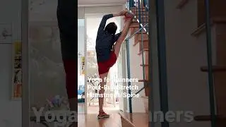 Post Run Yoga | Runners Post Run Stretch: #3 Hamstrings + Spine (Level 3)