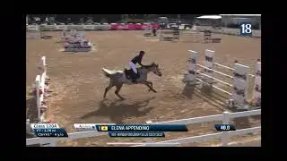 WONDER OBOLENSKY DE LIS COCO  HERMANO ELDORADO DE LIS