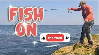 Float Fishing Wins Today